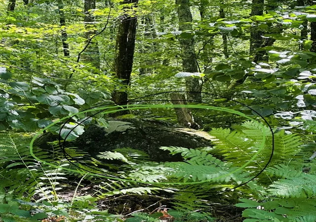 Photo 3 of Sale Pending at Parcel 2 Ayres, Monson, MA 01057 | MLS# 73554156 | Listing updated on 2026-09-28