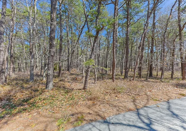 1st image of 175 Delphi Path, Wellfleet, MA 02667 | MLS# 73515383