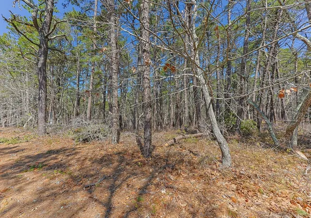 Photo 3 of Land for sale at 175 Delphi Path, Wellfleet, MA 02667 | MLS# 73515383 | Listing updated on 2026-05-12