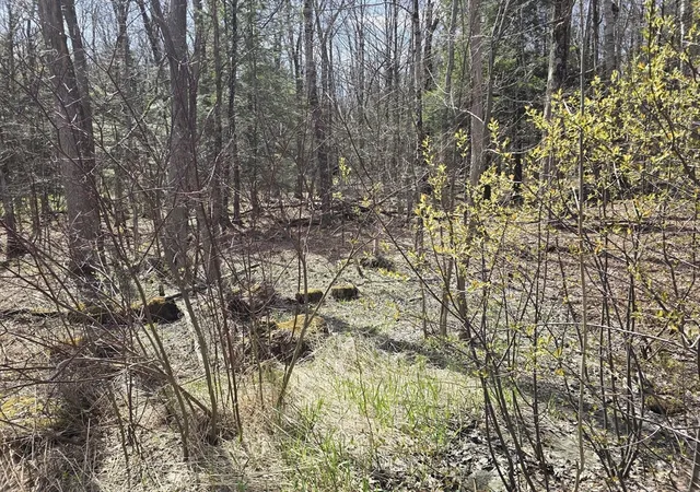 Photo 4 of Land for sale at 360 Jacob's Ladder Rd, Becket, MA 01223 | MLS# 73511866 | Listing updated on 2026-07-03
