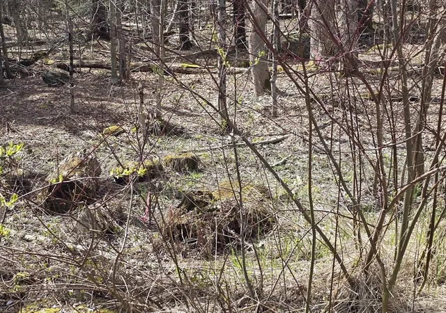 Photo 5 of Land for sale at 360 Jacob's Ladder Rd, Becket, MA 01223 | MLS# 73511866 | Listing updated on 2026-07-03