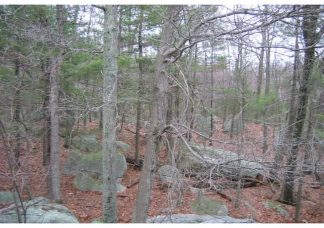 Condominium at 5 Shadowbrook Lane #32, Milford, MA 01757 | MLS# 70364428 | | Sold on 2006-06-30