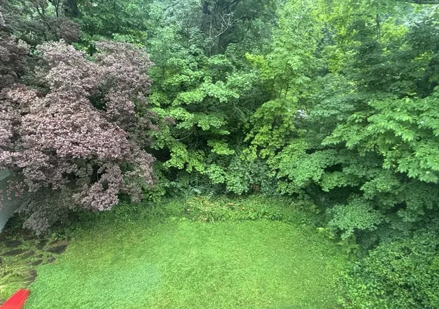 38th image of 100 Dana, Amherst, MA 01002 | MLS# 73560394