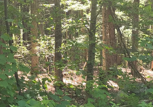 3rd image of Lot 9 11 Skyline, Chester, MA 01011 | MLS# 73544004