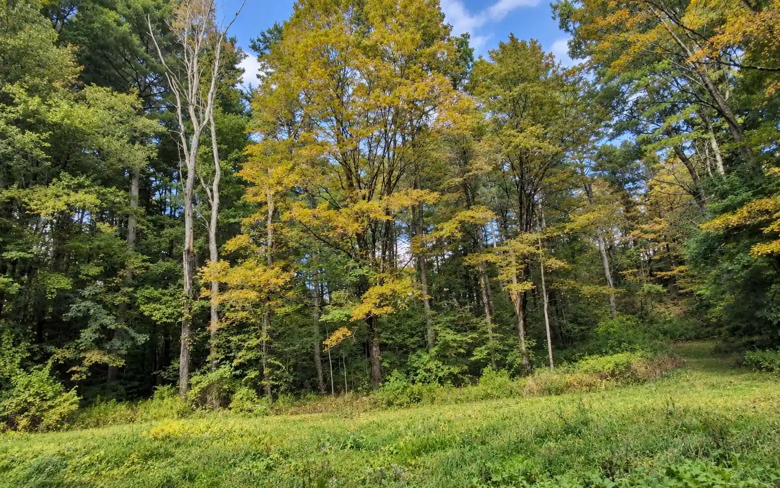 Photo 1 of Land for sale at Lot 2 Ma 41, Richmond, MA 01254 | MLS# 73589577 | Listing updated on 2026-10-16