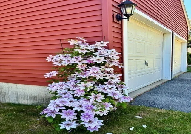 42nd image of 476 Wachusett St, Holden, MA 01520 | MLS# 73555217