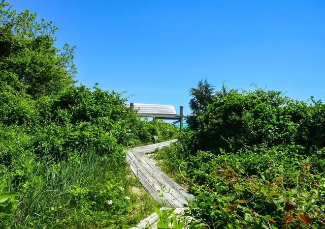 3rd image of 16 Frog Hollow, Tisbury, MA 02557 | MLS# 73478787