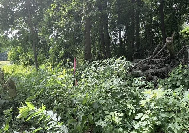 Photo 4 of Land for sale at 0 Anthony Rd, Longmeadow, MA 01106 | MLS# 73563174 | Listing updated on 2026-08-17