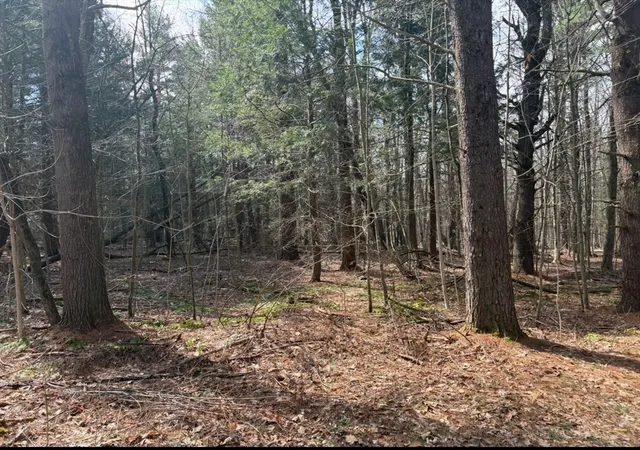 Homes for sale in Blandford, MA | 0 Island Acres Rd, Blandford, MA 01008 | MLS# 73501772