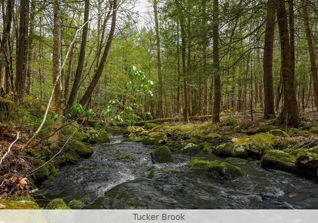 20th image of 291 Fomer Road, Southampton, MA 01073 | MLS# 73512754