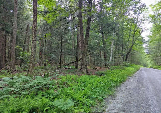 Photo 4 of Land for sale at 0 Hamilton Rd, Becket, MA 01223 | MLS# 73567514 | Listing updated on 2026-08-28