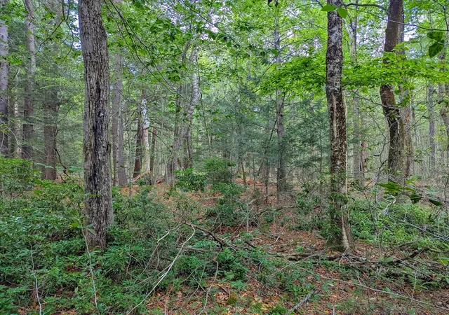Photo 5 of Land for sale at 0 Hamilton Rd, Becket, MA 01223 | MLS# 73567514 | Listing updated on 2026-08-28