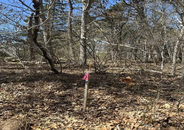 Photo 3 of Land for sale at 83 Telegraph Rd, Dennis Port, MA 02639 | MLS# 73528068 | Listing updated on 2026-06-06