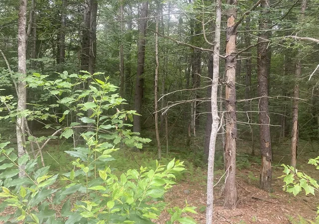 2nd image of 132 Crooked Ledge Rd, Southampton, MA 01073 | MLS# 73554644