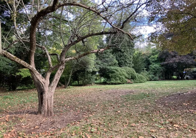 1st image of 3 Glenoe Rd, Chestnut Hill, MA 02467 | MLS# 73442008