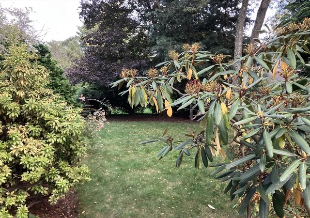 2nd image of 3 Glenoe Rd, Chestnut Hill, MA 02467 | MLS# 73442008