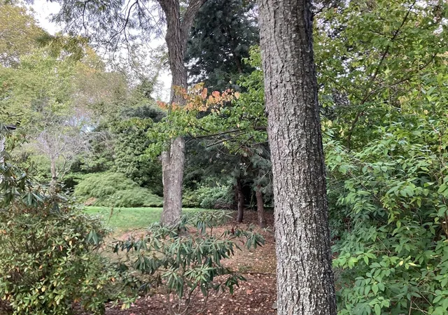 3rd image of 3 Glenoe Rd, Chestnut Hill, MA 02467 | MLS# 73442008