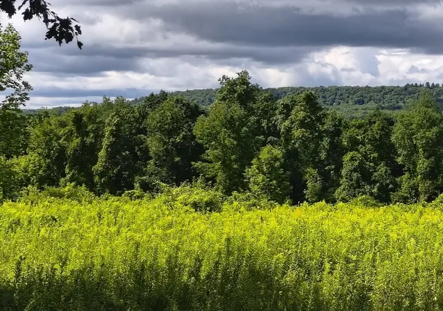 Photo 2 of Land for sale at Lot A/b Goss Hill, Huntington, MA 01050 | MLS# 73568060 | Listing updated on 2026-08-29
