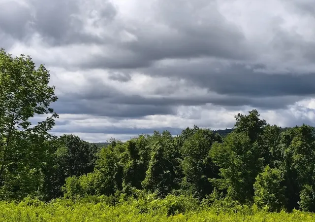 Photo 3 of Land for sale at Lot A/b Goss Hill, Huntington, MA 01050 | MLS# 73568060 | Listing updated on 2026-08-29