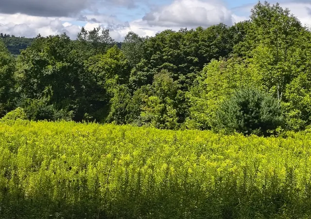 Photo 3 of Land for sale at Lot A/B Goss Hill, Huntington, MA 01050 | MLS# 73568060 | Listing updated on 2026-08-29