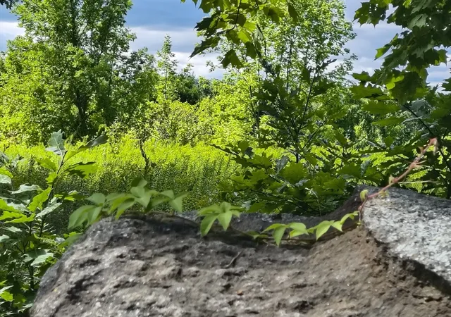 Photo 4 of Land for sale at Lot A/B Goss Hill, Huntington, MA 01050 | MLS# 73568060 | Listing updated on 2026-08-29