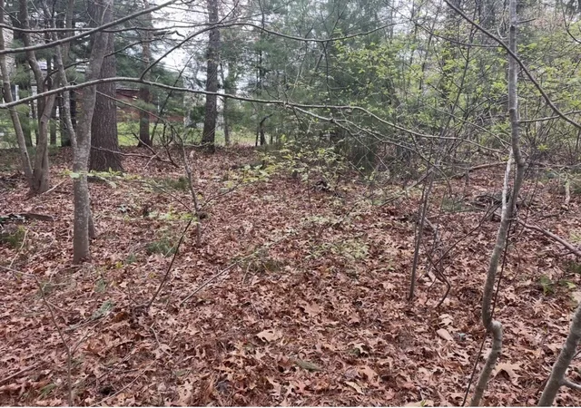 5th image of 58 & 62 Plymouth Ave, East Wareham, MA 02538 | MLS# 73523898