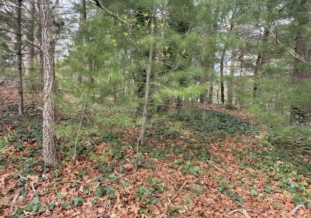 7th image of 58 & 62 Plymouth Ave, East Wareham, MA 02538 | MLS# 73523898