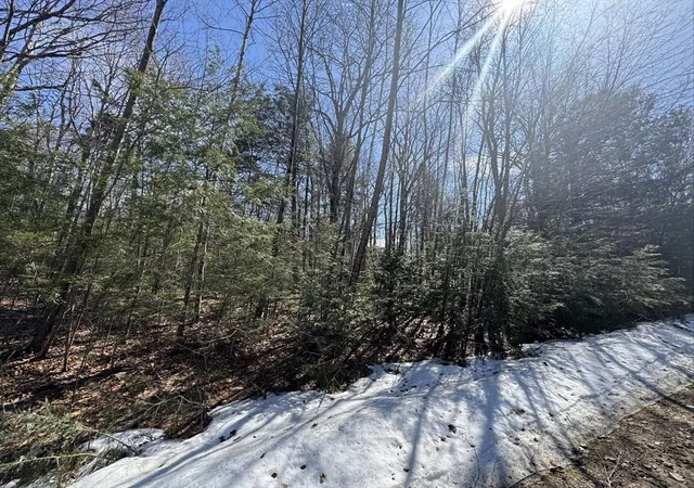 Photo 5 of Land for sale at Lot 7 Skyline Ridge Rd, Becket, MA 01223 | MLS# 73495564 | Listing updated on 2026-06-04