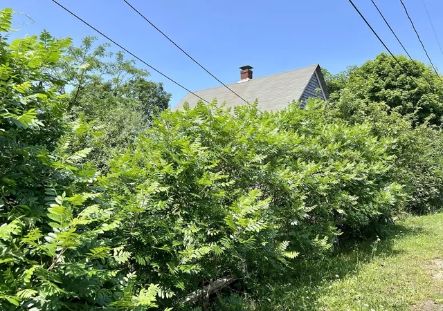 2nd image of 26 Winthrop Ave, Oak Bluffs, MA 02557 | MLS# 73548644