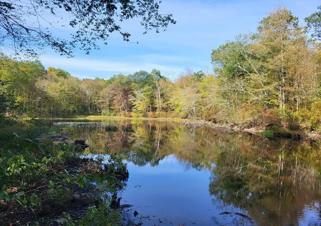 Homes for sale in Brooklyn, CT | 305 Tripp Hollow Rd, Brooklyn, CT 06234 | MLS# 73547677