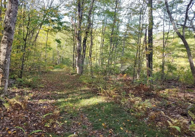 Homes for sale in Brooklyn, CT | 305 Tripp Hollow Rd, Brooklyn, CT 06234 | MLS# 73547677