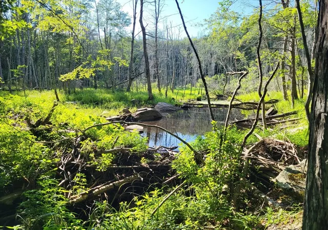 Photo 38 of Sale Pending at 305 Tripp Holw Rd, Brooklyn, CT 06234 | MLS# 73547677 | Listing updated on 2026-08-28
