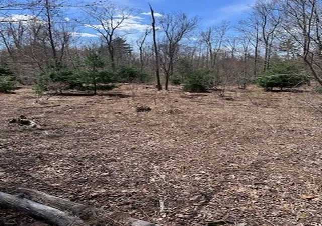 5th image of 235 Yew, Douglas, MA 01516 | MLS# 73506175