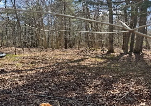 Photo 2 of Land for sale at 0 W Hodges St, Norton, MA 02766 | MLS# 73510490 | Listing updated on 2026-06-26