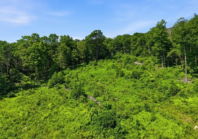 5th image of 108 Mountain Road, Princeton, MA 01541 | MLS# 73544606