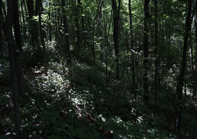 Photo 3 of Land for sale at 51-53 Harrison Ave, Auburn, MA 01501 | MLS# 73568287 | Listing updated on 2026-08-30