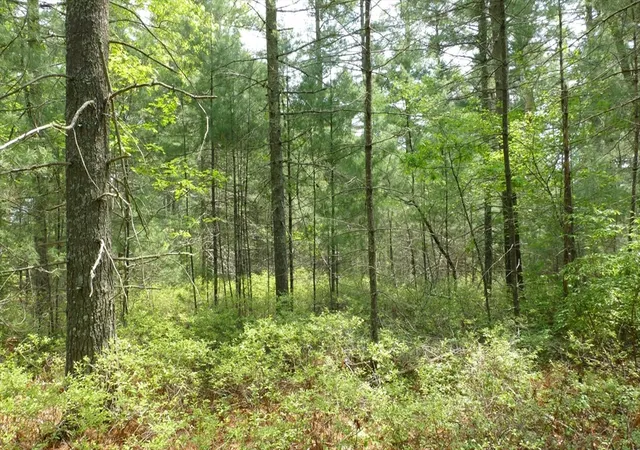 39th image of 10 Jefferson Way, Carver, MA 02330 | MLS# 73560971