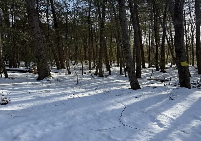 Homes for sale in Northfield, MA | 0 Four Mile Brook Rd, Northfield, MA 01360 | MLS# 73462497