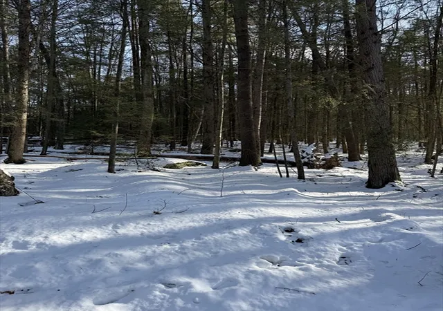 Homes for sale in Northfield, MA | 0 Four Mile Brook Rd, Northfield, MA 01360 | MLS# 73462497