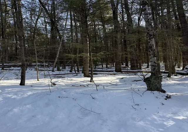 Homes for sale in Northfield, MA | 0 Four Mile Brook Rd, Northfield, MA 01360 | MLS# 73462497