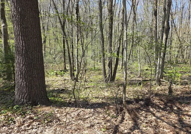 2nd image of 0 Union Road, Holland, MA 01521 | MLS# 73554239