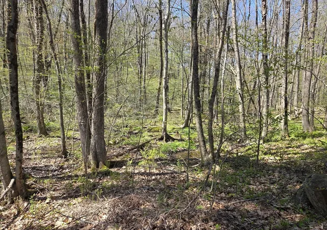 3rd image of 0 Union Road, Holland, MA 01521 | MLS# 73554239