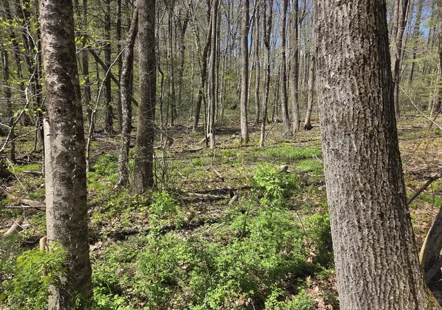 4th image of 0 Union Road, Holland, MA 01521 | MLS# 73554239