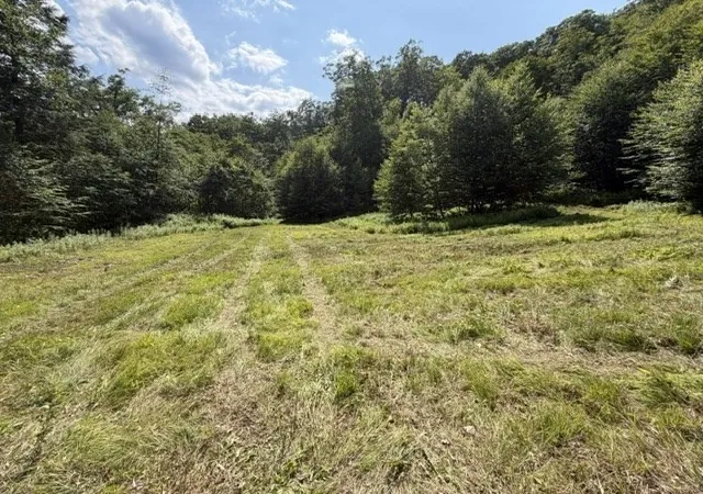1st image of 00 Zoar Rd, Rowe, MA 01367 | MLS# 73555178