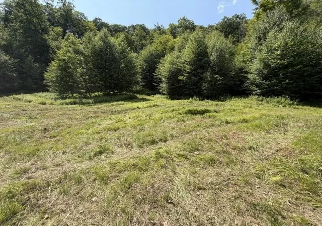 25th image of 00 Zoar Rd, Rowe, MA 01367 | MLS# 73555178