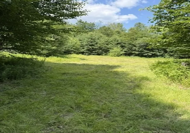 2nd image of 00 Zoar Rd, Rowe, MA 01367 | MLS# 73555178