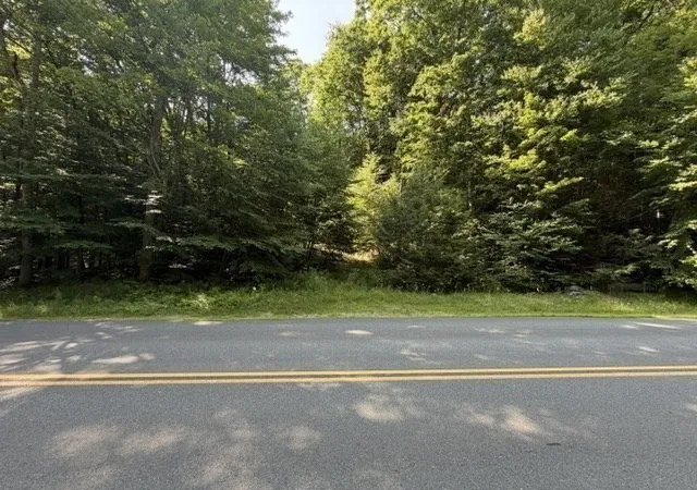 4th image of 00 Zoar Rd, Rowe, MA 01367 | MLS# 73555178