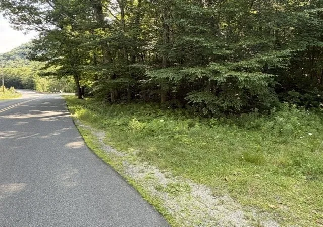 5th image of 00 Zoar Rd, Rowe, MA 01367 | MLS# 73555178