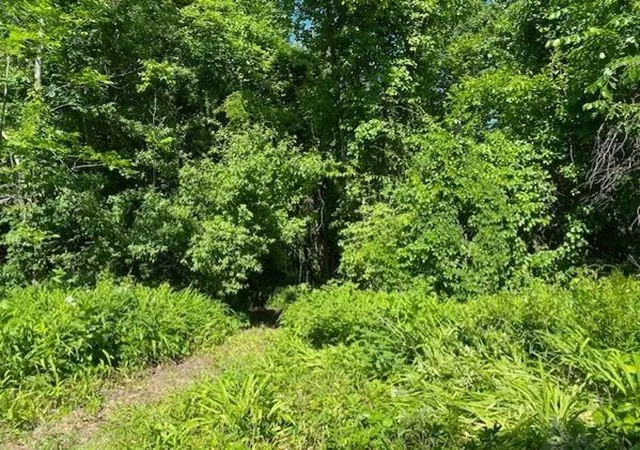 Photo 3 of Sale Pending at 280 & 290 Spring Road, Dracut, MA 01826 | MLS# 72675581 | Listing updated on 2026-02-03