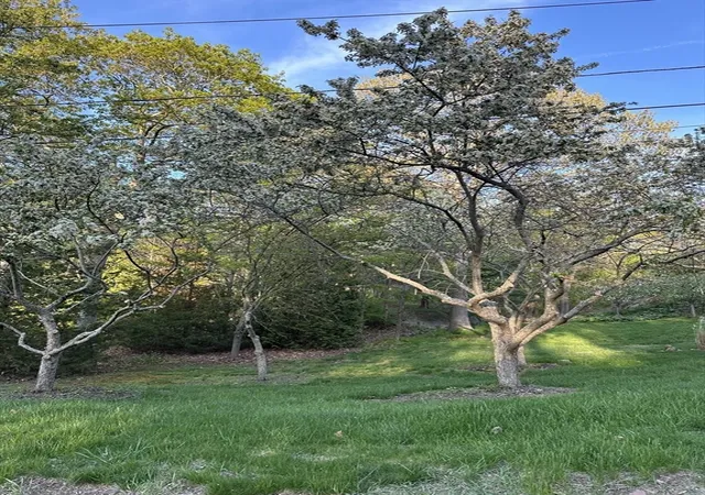 16th image of 2 Orchard Lane, Manchester, MA 01944 | MLS# 73512162